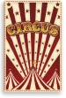 Amazing Circus's assets