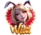 Las Vegas Party's assets