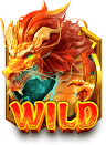 Longevity Dragon's assets