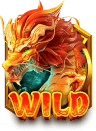 Longevity Dragon's assets