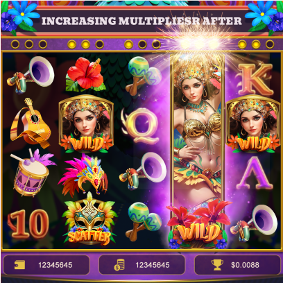 Samba Fiesta's assets