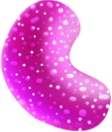 Sugary Bonanza's assets