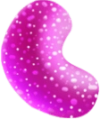 Sugary Bonanza's assets