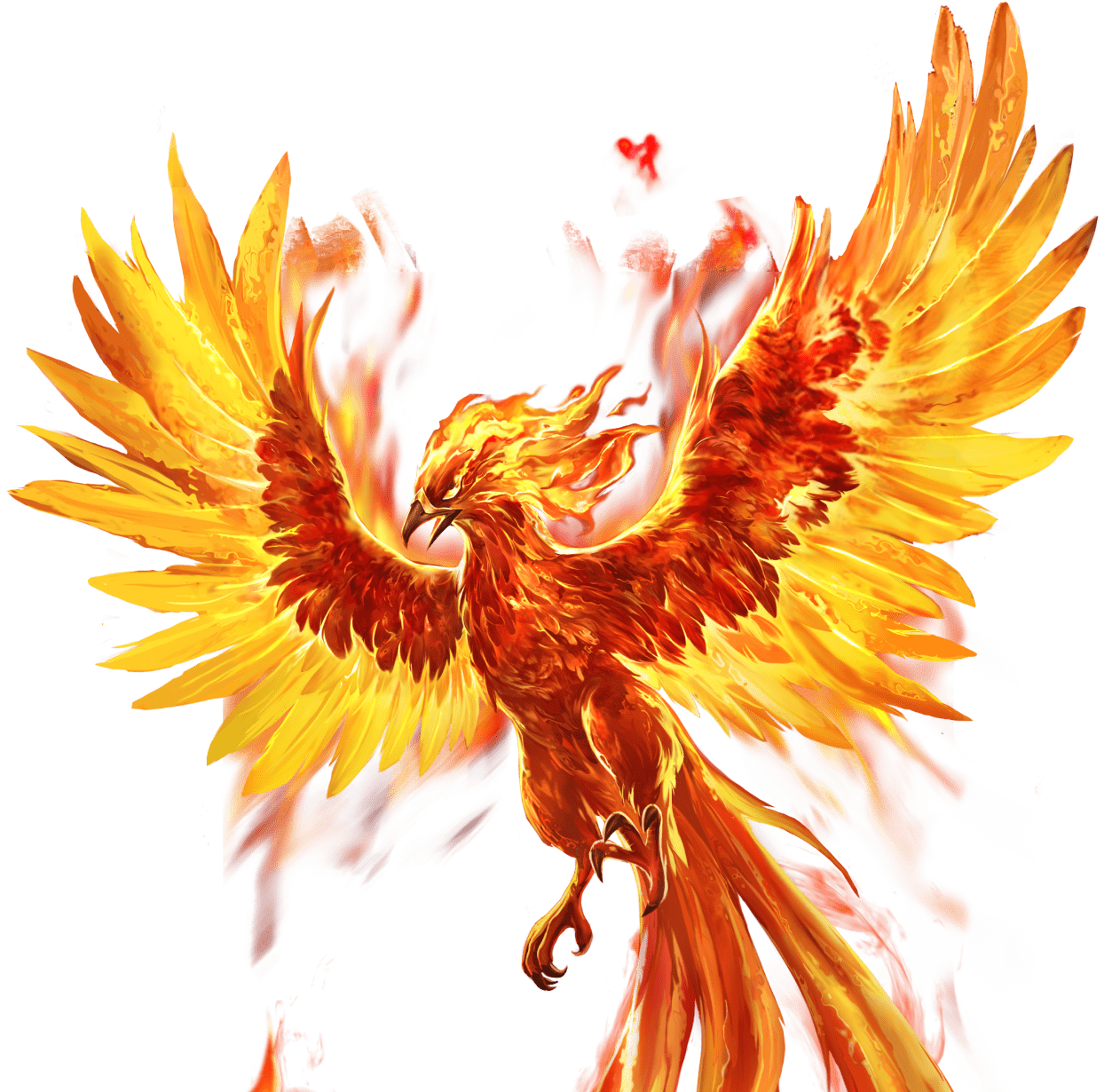 Super Phoenix's assets