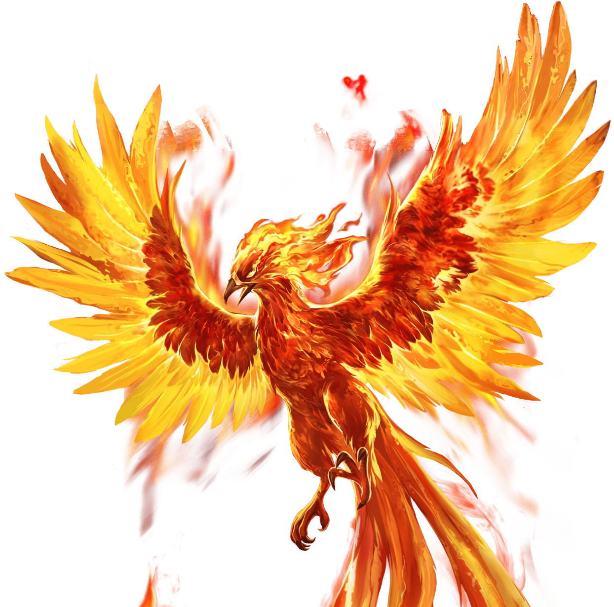 Super Phoenix's assets