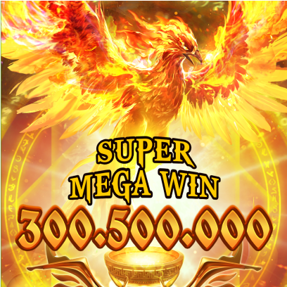 Super Phoenix's assets
